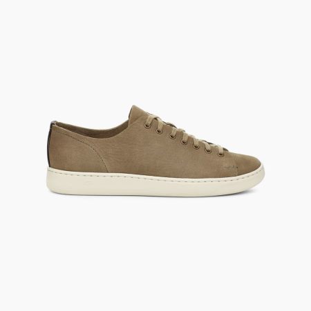 UGG Pismo Low Taupe Sneakers for Men (YBRC31674)